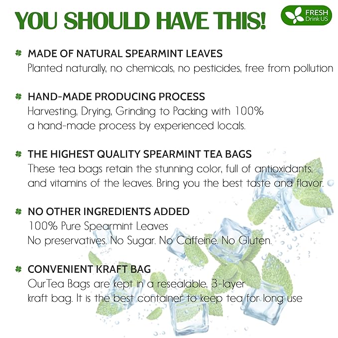 FreshDrinkUS, Premium 120 Spearmint Tea Bags, 100% Natural & Pure from Spearmint Leaves. Loose Leaf Spearmint Herbal Tea. Made with Natural Material Tea Bags. No Sugar, No Caffeine, No Gluten, Vegan.