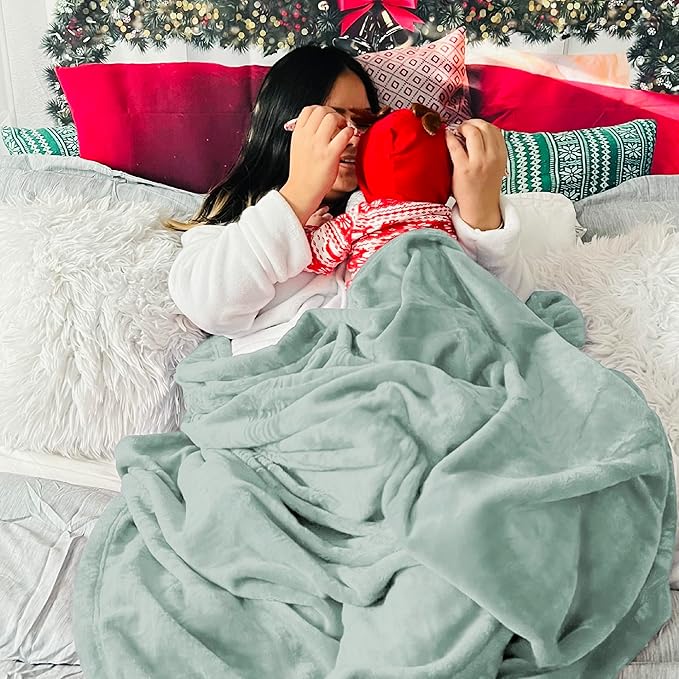 Bedsure Fleece Bed Blankets Full Size Sage Green - Soft Lightweight Plush Fuzzy Cozy Luxury Blanket Microfiber, 84x90 inches