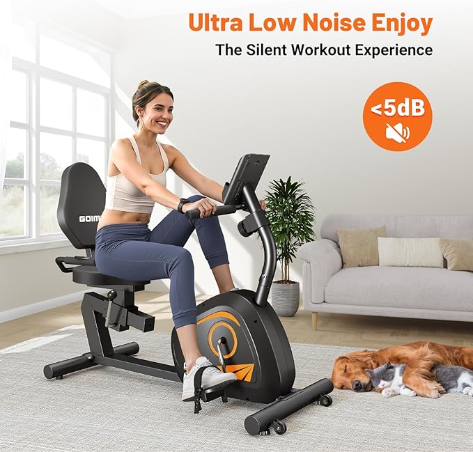 Recumbent Exercise Bike, Stationary Bikes for Home Magnetic Recumbent Bike with Adjust Seat for Adults Seniors, 300LB Capacity & 8-level Resistance, LCD Monitor and Heart Rate Handle