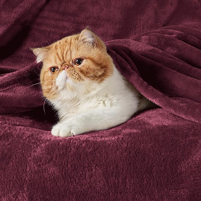 Bedsure Fleece Throw Blanket Burgundy Red - 300GSM Blankets for Couch, Sofa, Bed, Soft Lightweight Plush Cozy Throws for Toddlers, 50x60 inches