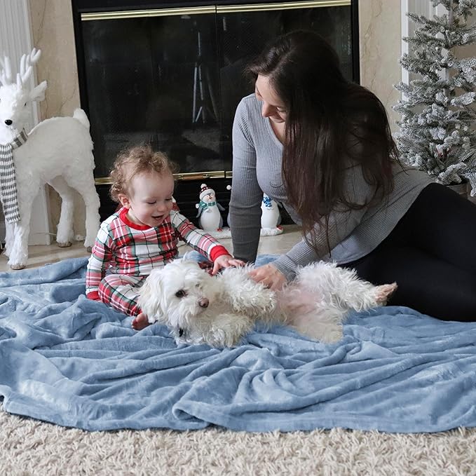 Bedsure Fleece Throw Blanket for Couch Light Blue - Lightweight Plush Fuzzy Cozy Soft Blankets and Throws for Sofa, 50x60 inches