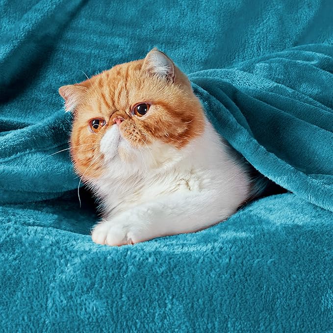 Bedsure Fleece Blanket Twin Size Teal - 300GSM Lightweight Plush Fuzzy Cozy Soft Warm Blanket for Bed, Sofa, Couch, Travel, Camping, 60x80 inches