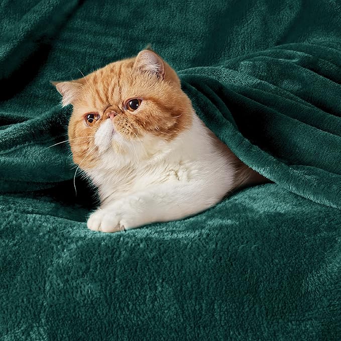 Bedsure Fleece Throw Blanket Forest Green - 300GSM Blankets for Couch, Sofa, Bed, Soft Lightweight Plush Cozy Throws for Toddlers, 50x60 inches