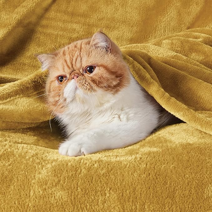 Bedsure Bedding Fleece Blanket for Girls and Boys - Soft Cozy Cute Small Throw Blankets for Travel, 43x55 Inches, Gold