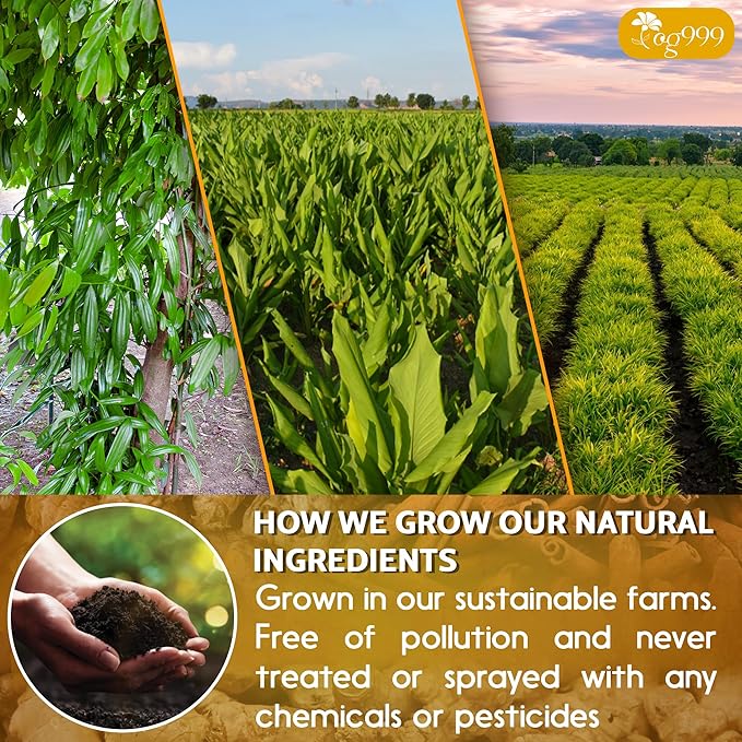 30 Bags Premium Turmeric Ginger Cinnamon Tea, Improve Digestion, Support Brain, Weight, Skin and Sleep, Eco-Conscious Tea Bags and Premium Natural Ingredients. Turmeric Ginger Herbal Tea. No Sugar, No Caffeine, No Gluten, Vegan.