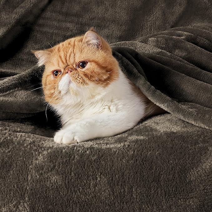 Bedsure Brown Fleece Blankets King Size - Bed Blanket Soft Lightweight Plush Cozy Fuzzy Luxury Microfiber, 108x90 inches