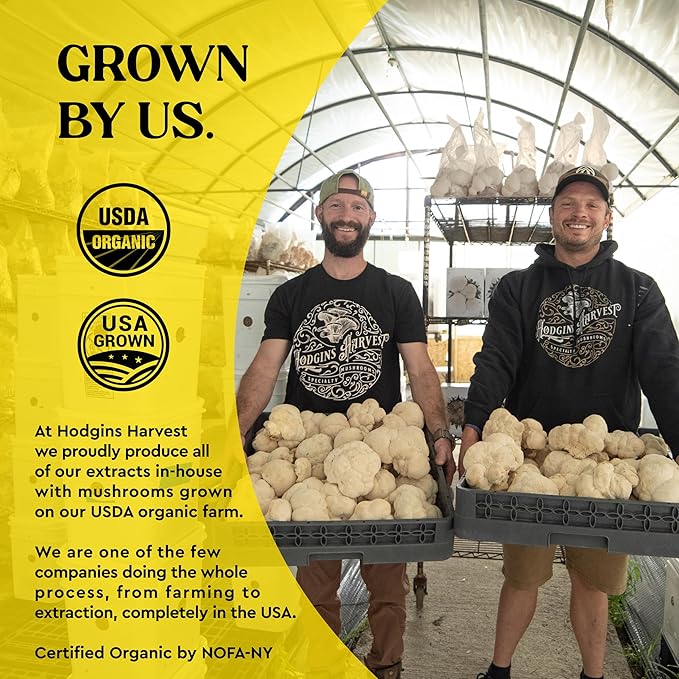 Hodgins Harvest Organic Turkey Tail Tincture | Made with Mushrooms Grown On Our Farm in The USA | Dual Extract | Extra-Concentrated (2 fl oz)