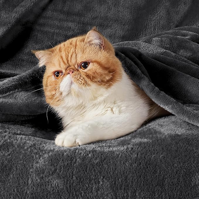 Bedsure Fleece Blankets Queen Size Dark Grey - Bed Blanket Soft Lightweight Plush Fuzzy Cozy Luxury Microfiber, 90x90 inches